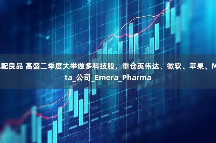 优配良品 高盛二季度大举做多科技股，重仓英伟达、微软、苹果、Meta_公司_Emera_Pharma