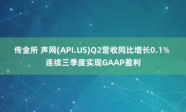 传金所 声网(API.US)Q2营收同比增长0.1% 连续三季度实现GAAP盈利